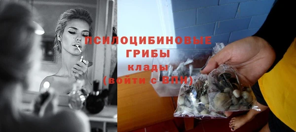 шишки Алзамай