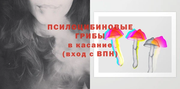шишки Алзамай